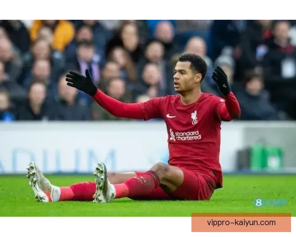 加克波本赛季进球数据持续提升，状态回暖备受关注