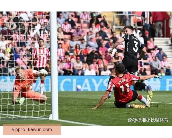 南安普顿本赛季表现稳健，竞争力持续提升升